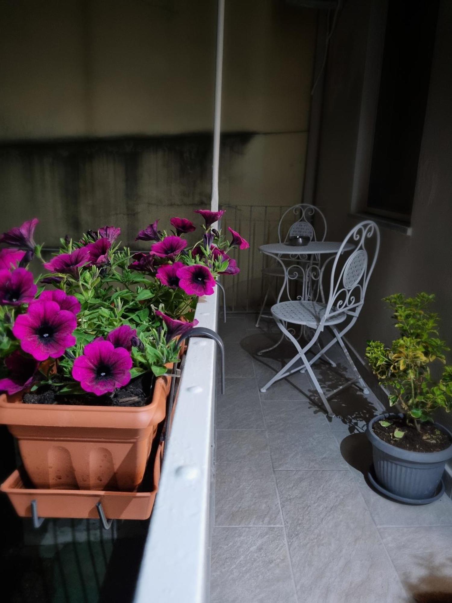 Ca Fiamma 2 Apartment Casale Monferrato Exterior foto